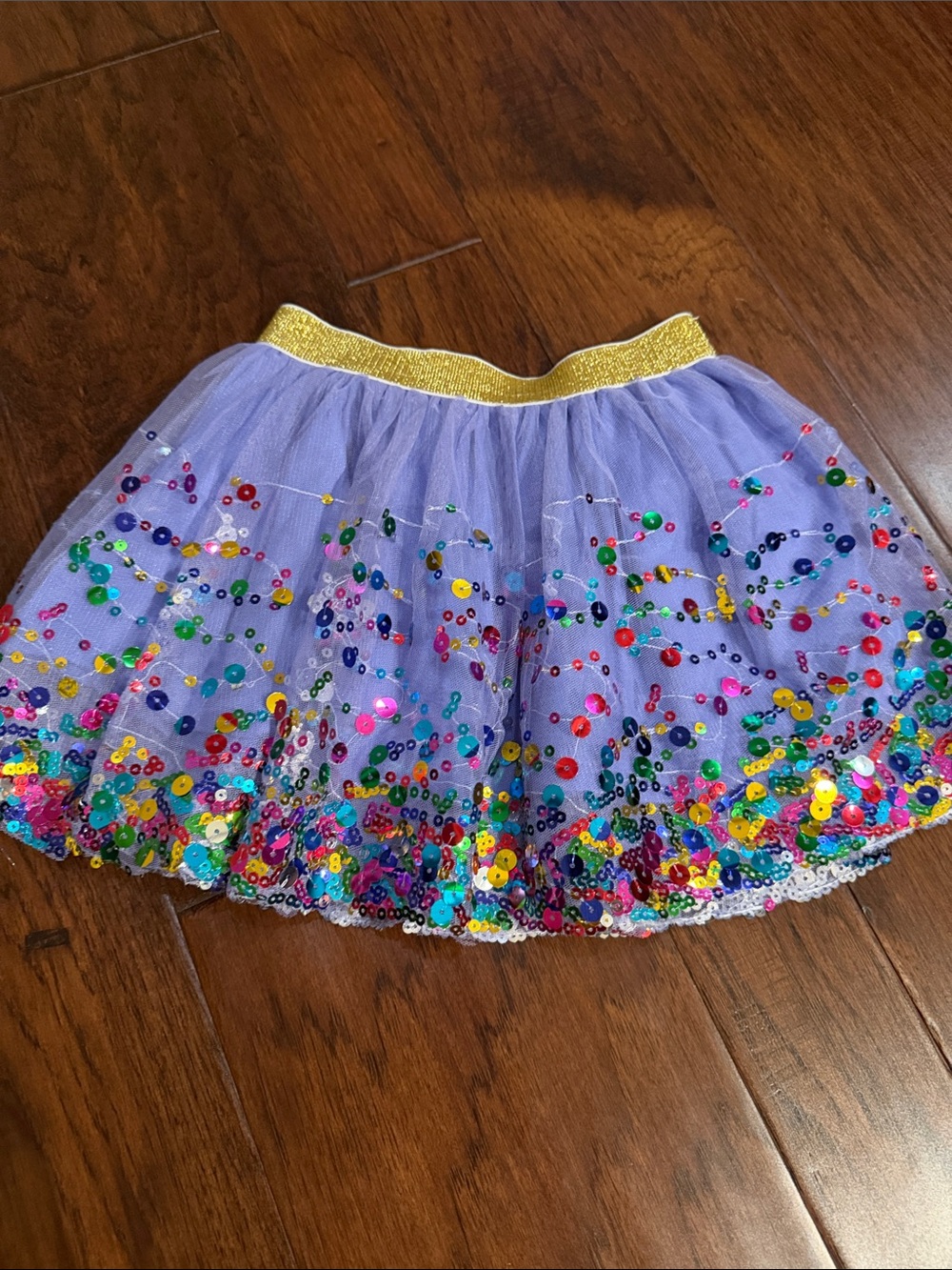 Purple Sequin Tulle Skirt with Gold Elastic Waistband